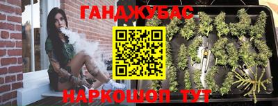 гашик Аргун