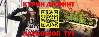 гашик Аргун