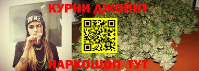 гашик Аргун