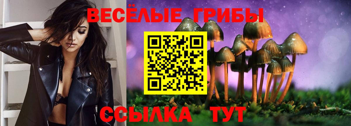 Псилоцибиновые грибы GOLDEN TEACHER  Вход с VPN  Аша 